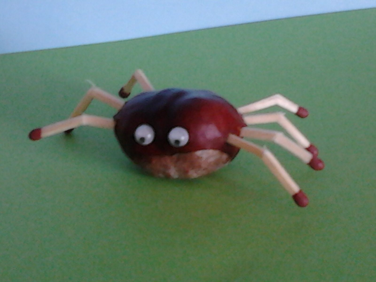 Halloween dekoráció: Gesztenyepók